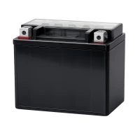 Motorradbatterien (29)