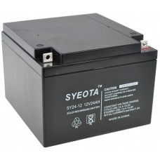 Geschlossene Bleibatterie Sy24-12 12v/24ah Rechargeable 175x124x165mm