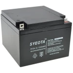 Versiegelter Bleiakku 12V 24Ah SY24-12, wiederaufladbar