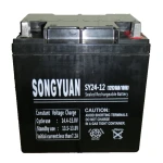 Versiegelter Bleiakku 12V 24Ah SY24-12 von Songyuan