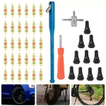 TSX TOOL Reifenreparatur- und Ventilausbau-Set 43-teilig